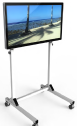 InroomViewingDevice