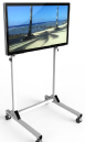 InroomViewingDevice