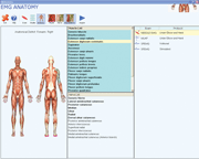 AnatomyBIG.gif